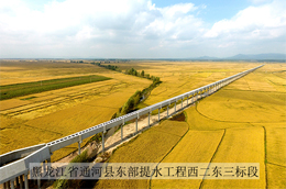 黑龍江省通河縣東部堤水工程四二東三標段
